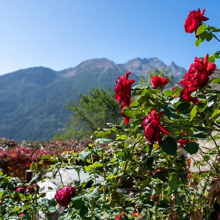 Del Celtico 2 By Interhome * Vetan